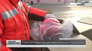 Главную новогоднюю елку Нижнего Новгорода нарядили на площади Минина