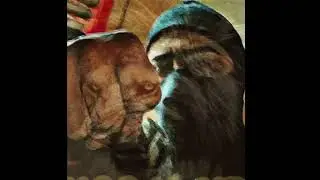 Lone Lion - Body Bag Gang.