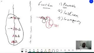 function in C | Function from Basic to advance in C | Funcation for Biggnner
