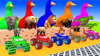 5 Giant Duck Cartoon, Long Slide Game With Cow Cat Bear Elephant Lion Gorilla T-Rex, 3d Animal Game