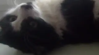 хайд онлайн.
