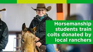 Equine passion drives horsemanship challenge