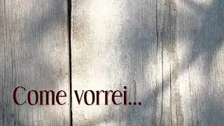COME VORREI... (Stefano Zeni - Enrico Bertoldi - Andrea Testa)