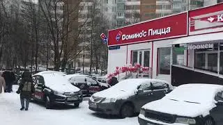 Знаменские садки обзорное