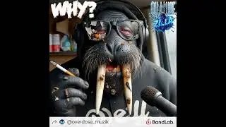 WHY Ft. ZILLAZU