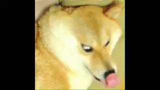 Cantaniños Raton EARRAPE