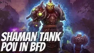BFD Shaman Tank & Rogue Questing Stream