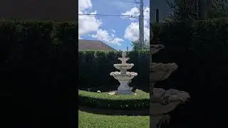 musy trabaja muy duro pero con todo