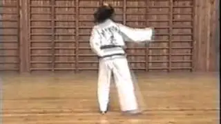 Тули таэквон-до до первого дана.