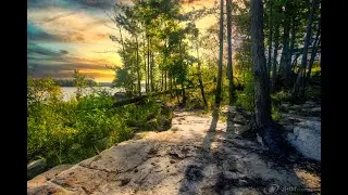 ASMR Ambient sounds from a calm lake on a hot summer day. (no talking, no music, restful, calming)