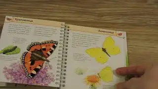 Мини-энциклопедии! Интересно и взрослым и детям!