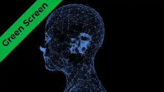 HD Green Screen | Plexus Human Head rotation, AWSOME !
