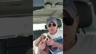Анекдот. Сувенир...