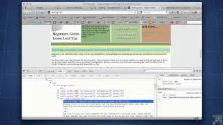 Browser Plug Ins