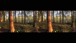 Particular Footage in After effect