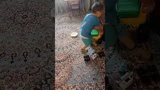Салям. Данил играет. 2024