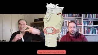 Koniotomie im Notfall - der chirurgische Atemweg (Teil 1: Basics)