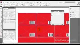 Графические переменные данные в InDesign (Data Merge)