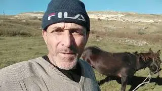 Мул.Дегельминтизация.