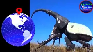Giant Beetle 🪲 sculpture found on Google Earth #fineearthexplore