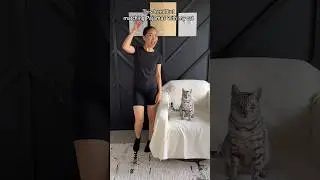This trend but matching Pajamas with my cat! 😂 #shortsfeed #shortvideo #catshorts #shortvideo