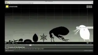 The Universe Scale - From the nanoworld to the universe.