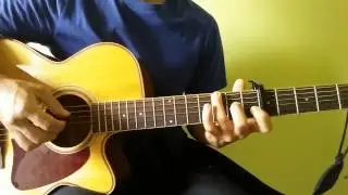 Somebody That I Used To Know - Gotye - Beginner Fingerstyle Guitar Cover