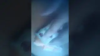 Мой сквиш ЧИТ.ОПИС!!!!