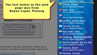 How to add the Real-Time Visitor IP Geo Location API into your web page?