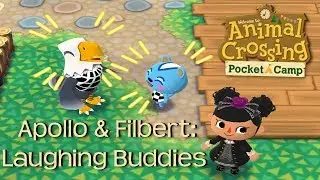 |Video Game Footage| Apollo & Filbert: Laughing Buddies! 《Animal Crossing Pocket Camp》