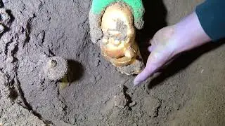 Metal detector unlocks my unknown treasure trove of wealth