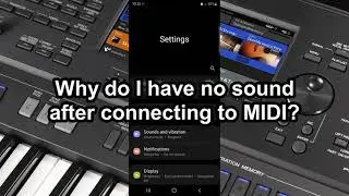 ORG, Why do I have no sound after connecting to MIDI?