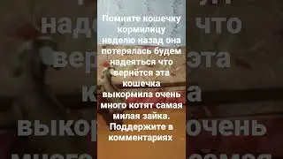 22 марта 2023 г.