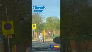 Ingenious to say the least - Dashcams Spain