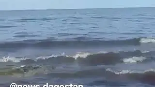 Море