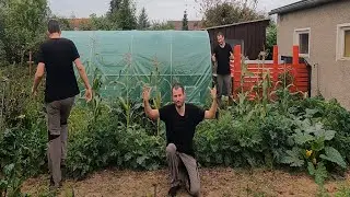 Was ist aus dem Gemüsegarten geworden? | Gartenrundgang im Gemüsegarten | Gartenrundgang 2021