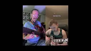 Sample This Funky Fretless