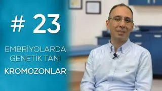 EMBRİYOLARDA GENETİK TANI - KROMOZONLAR #23