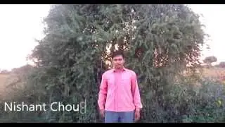 Speed Training | Sprint Speed | Run Faster - Choudhary