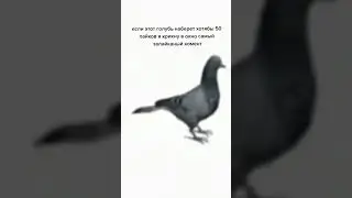 Если что, я живу в Москве)