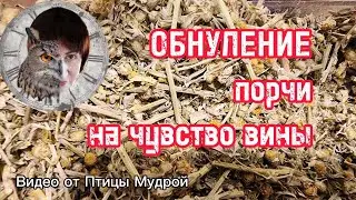 Как обнулить порчу на чувство вины