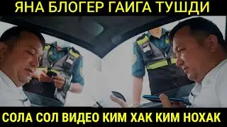 БЛОГЕР ЯНА ГАИГА ТУШДИ СОЛА СОЛ ВИДЕО