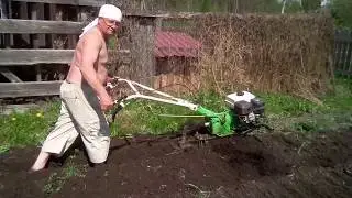 Мотоблок Варяг МБ-801, продолжаем пахать.