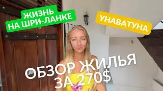 Жизнь на Шри-Ланке 2022, где искать жильё, обзор квартиры за 270 долларов
