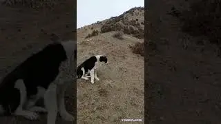 #горах