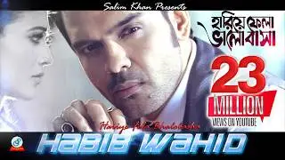 Hariye Fela Bhalobasha | Habib Wahid | Peya Bipasha | হারিয়ে ফেলা ভালোবাসা | Music Video