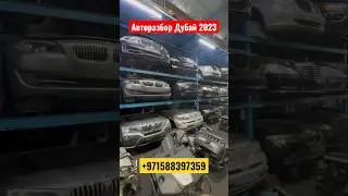 Авторазбор в Дубае 2023 🤯🤯🤯 #Бмв #Мерседес #Авторазбор #Дубай #dubai #moscow #tashkent