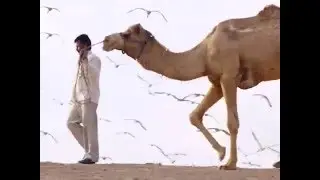 Индийский Тибет и прочее