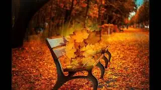 COMFORTABLE PIANO MUSIC + BEAUTIFUL AUTUMN VIEWS.