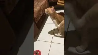 Predi Baru pulang😁